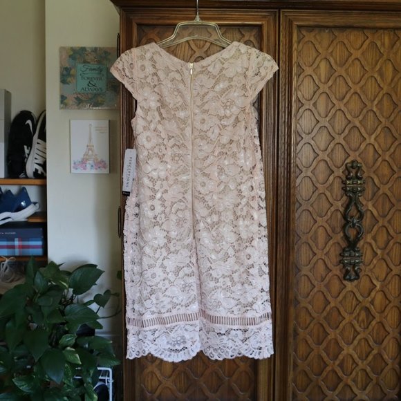 PERCEPTIONS New York Blush Nude Lace Sheath Dress - NWT! - Picture 3 of 16